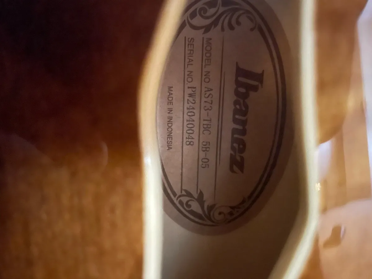 Ibanez AS73 tbc - Image 3