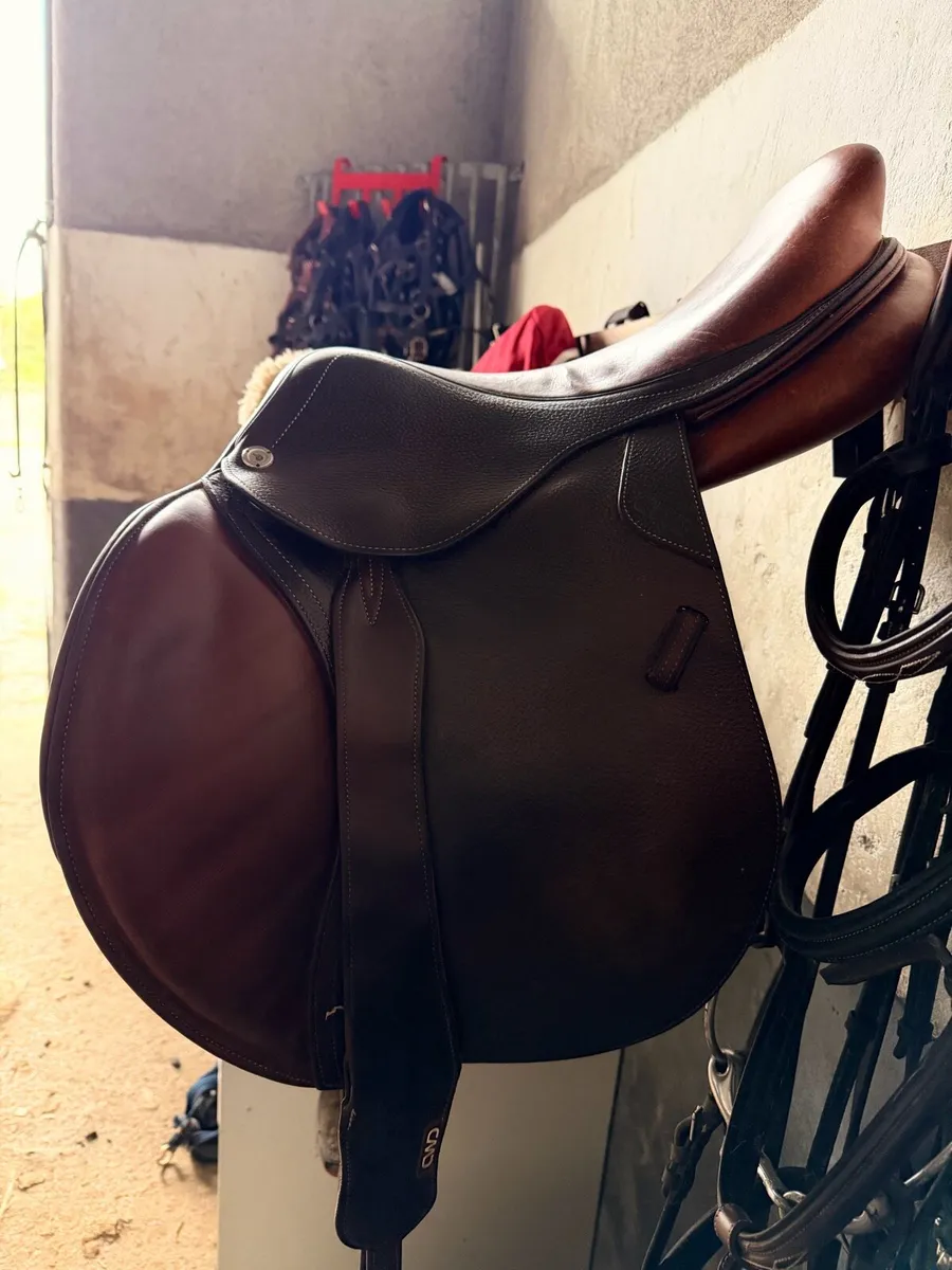 Cwd Saddle - Image 1