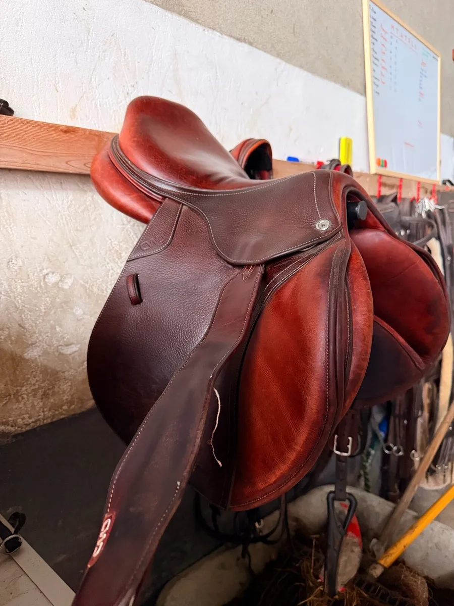 Cwd Saddle - Image 2