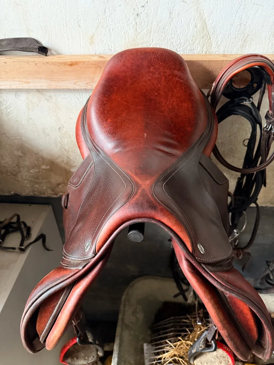 Cwd Saddle - Image 3