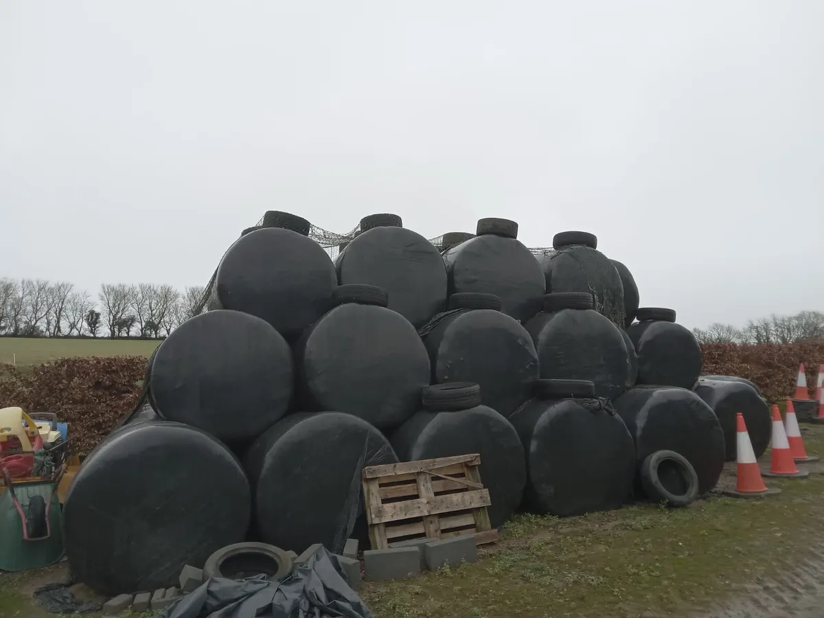 Heavy haylage bales