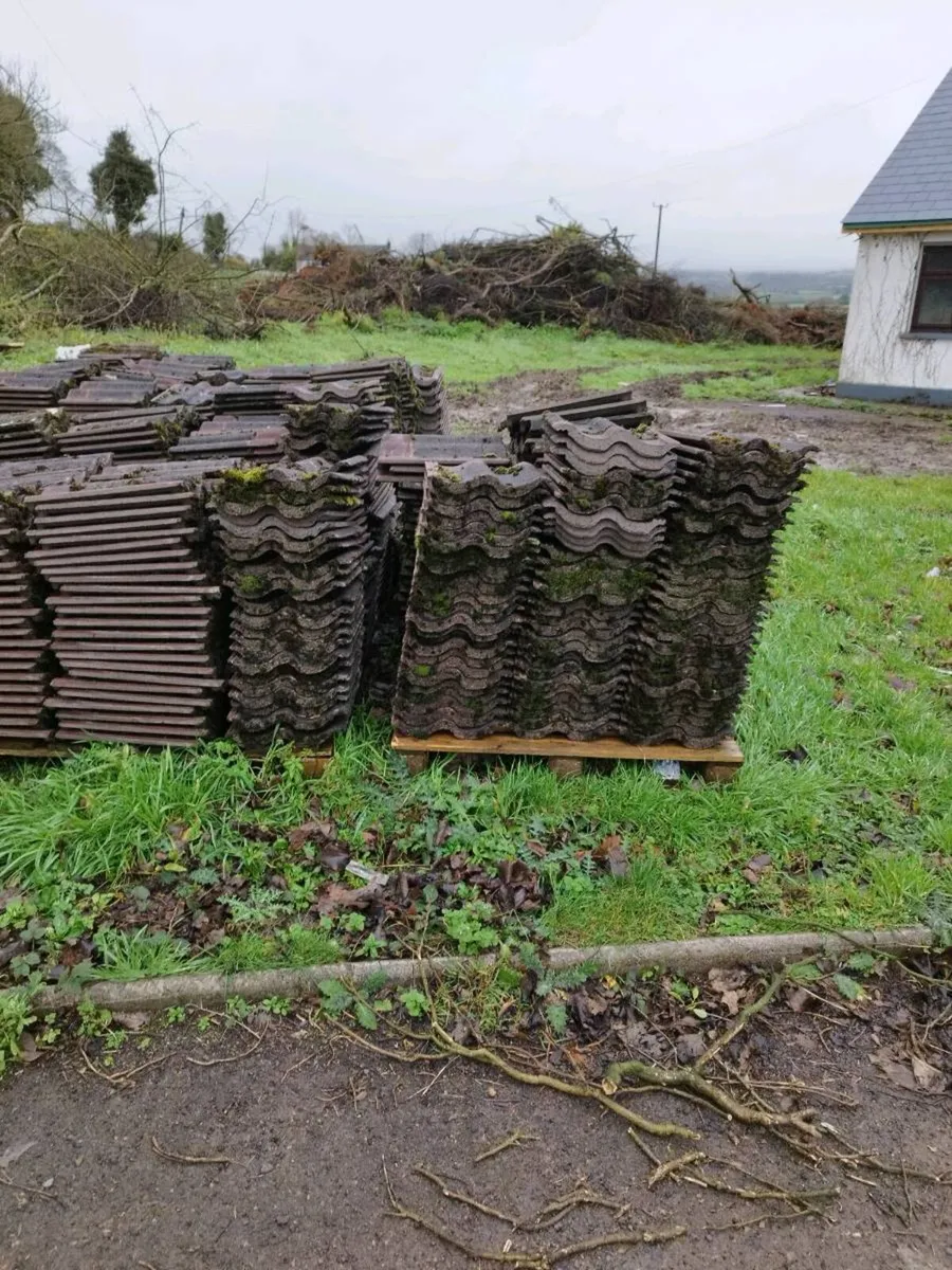 Roof tiles - Image 3