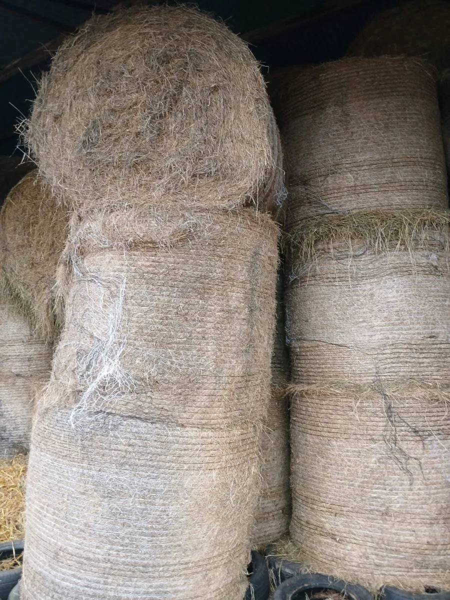 Square bales and round bales of hay - Image 2