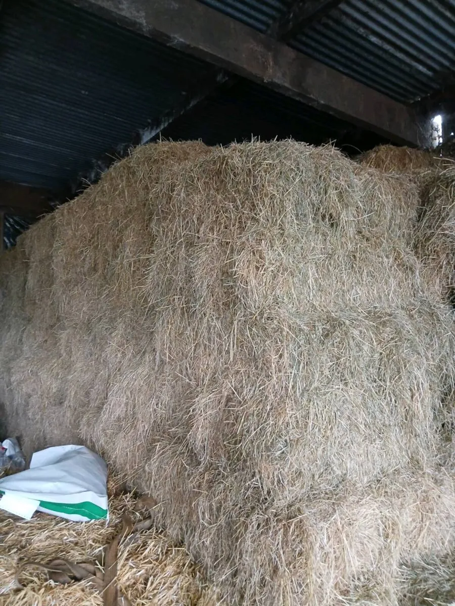 Square bales and round bales of hay - Image 1