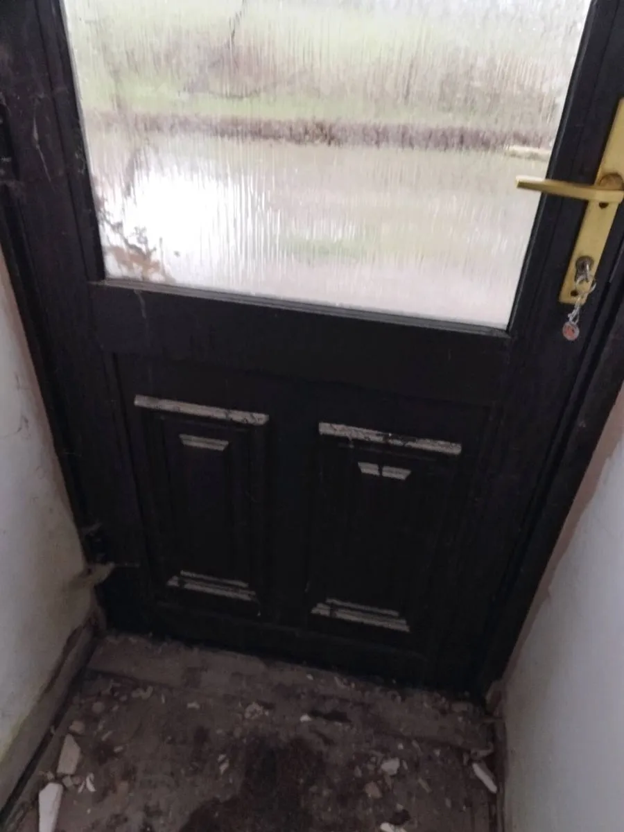 Windows/back door - Image 1