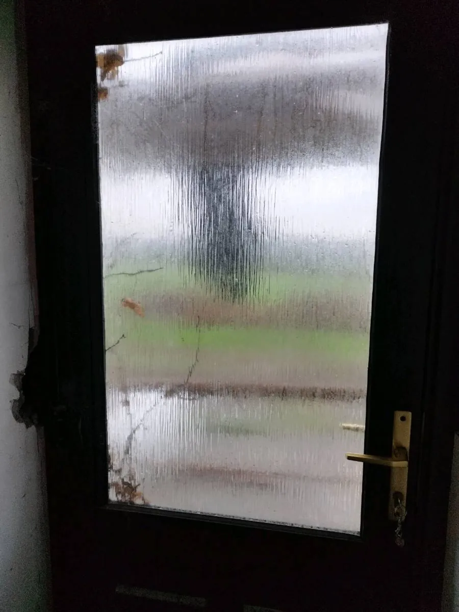 Windows/back door - Image 2