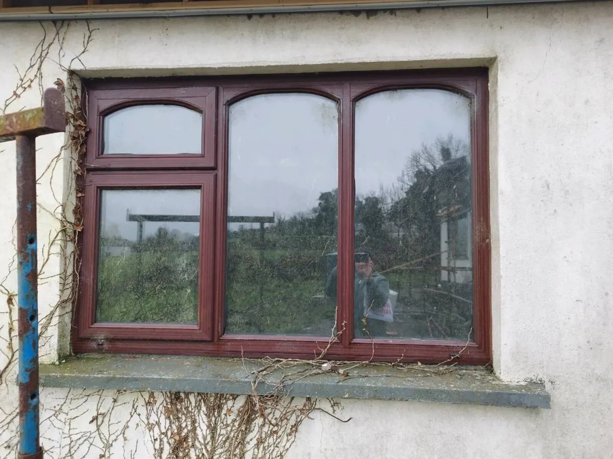 Windows/back door - Image 4