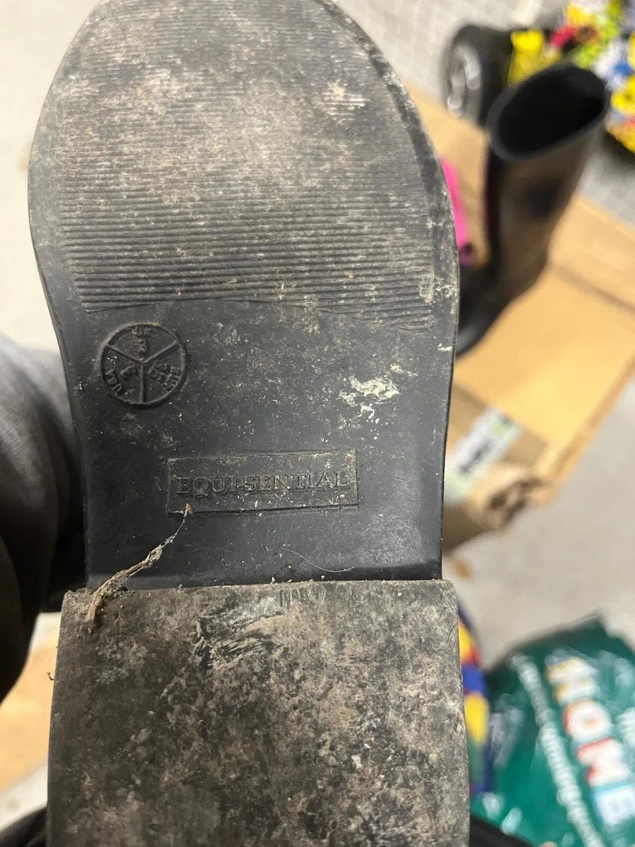 Horse riding boots - Image 2