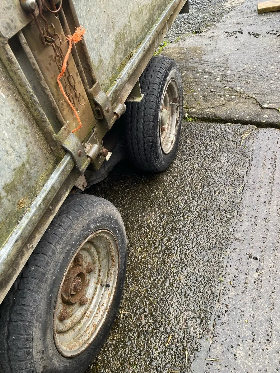 Ifor Williams - Image 3