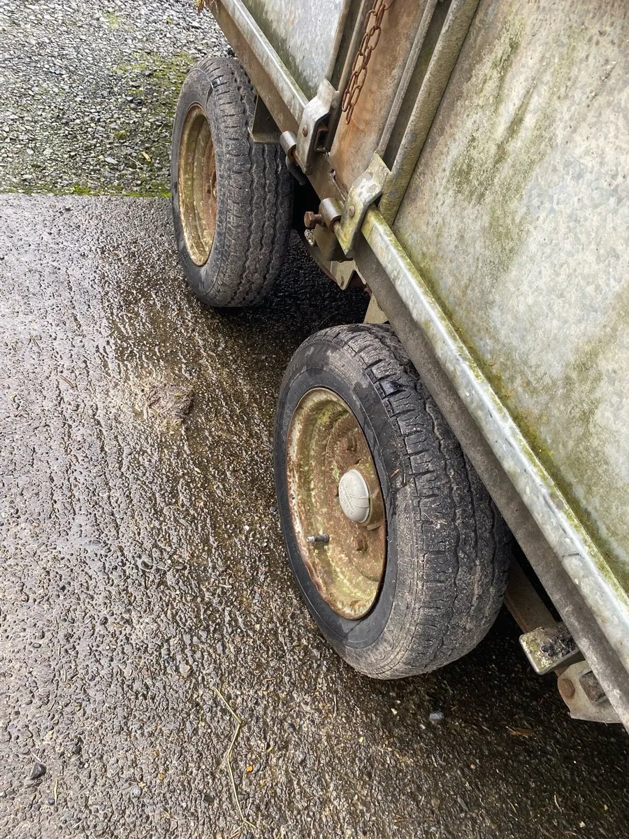 Ifor Williams - Image 4