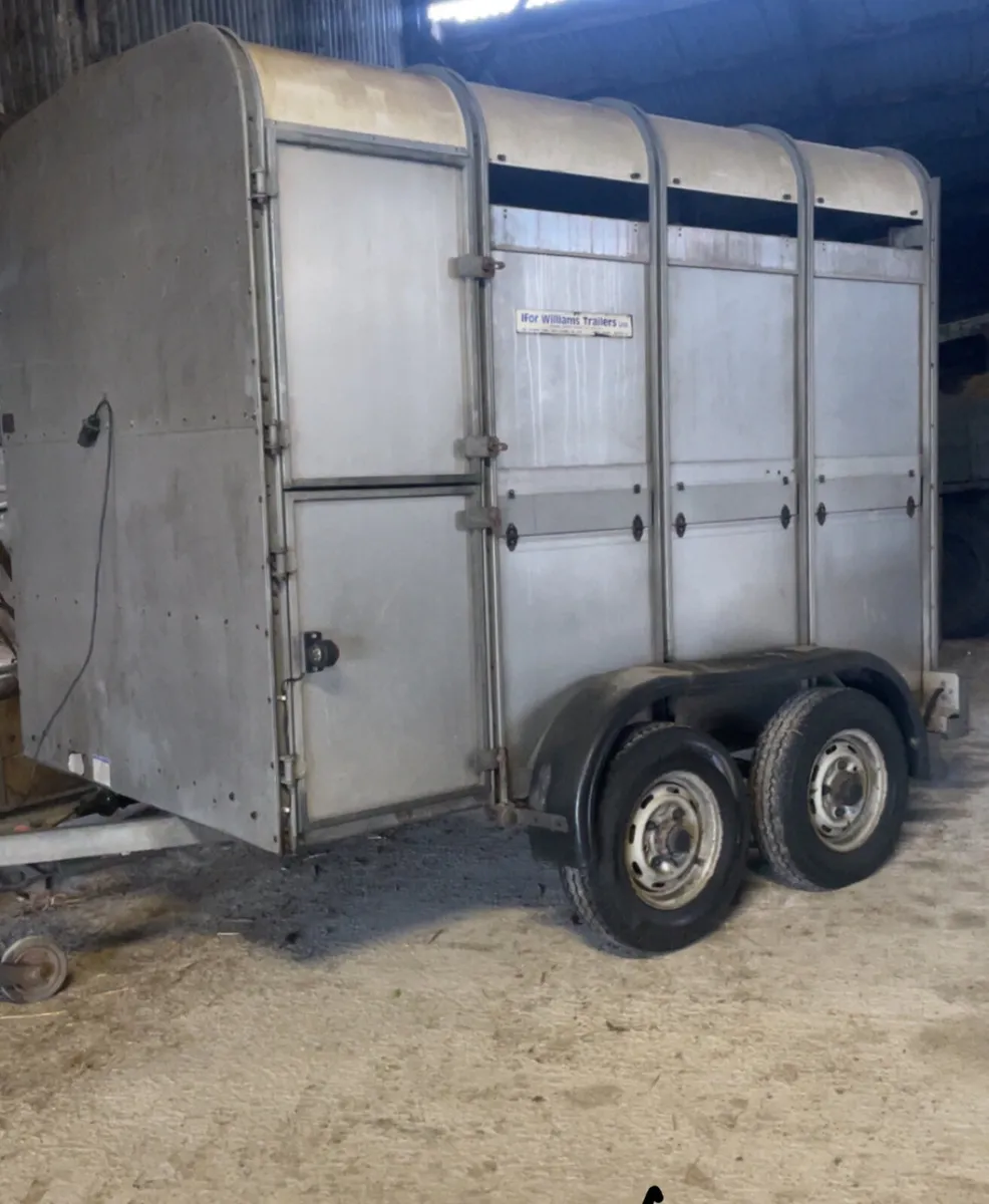 Ifor Williams 8ft x 5ft Cattle Trailer 🐮 - Image 2