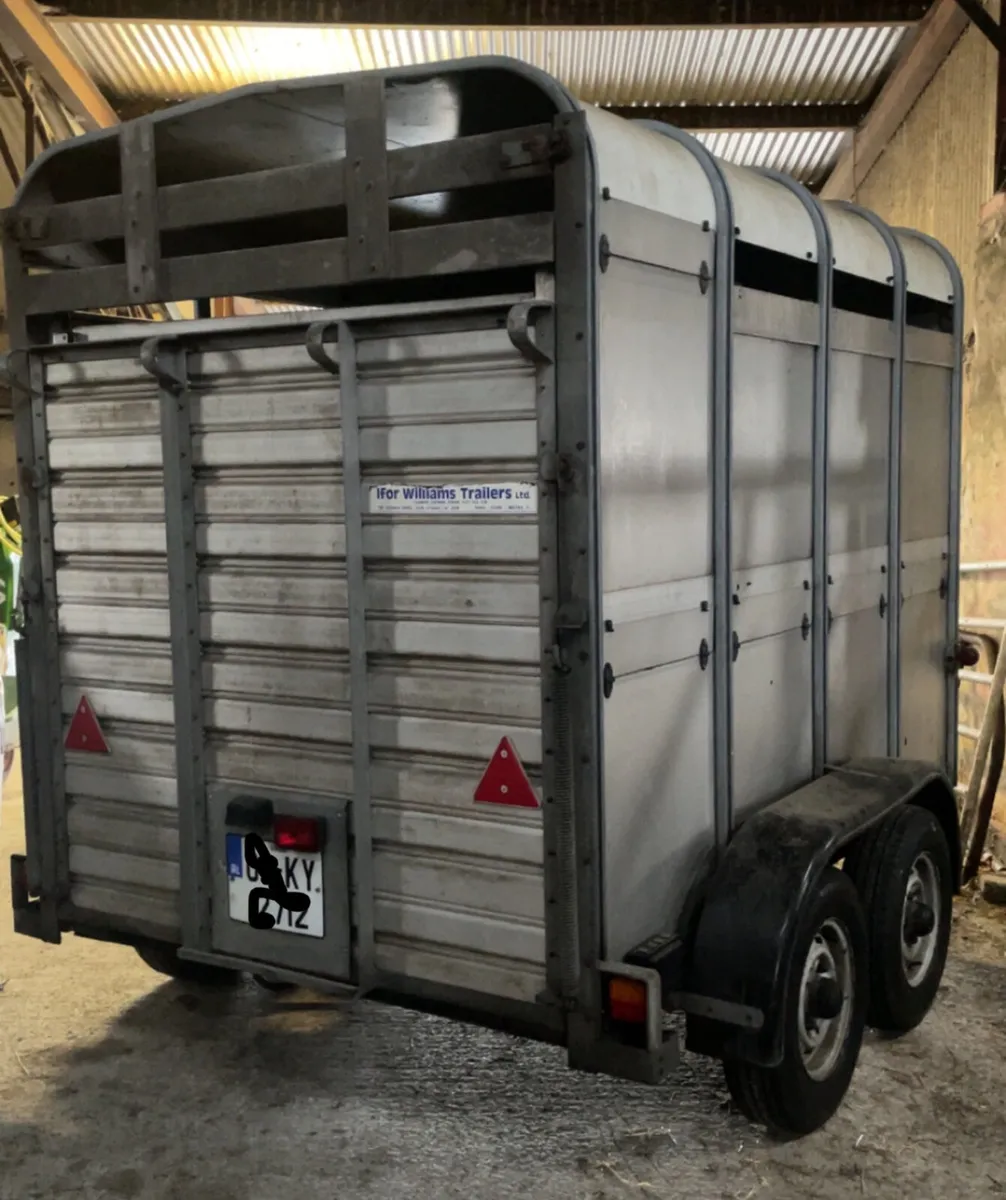 Ifor Williams 8ft x 5ft Cattle Trailer 🐮 - Image 3
