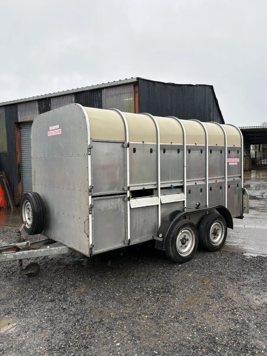 Weeks Cattle Trailer - Image 3