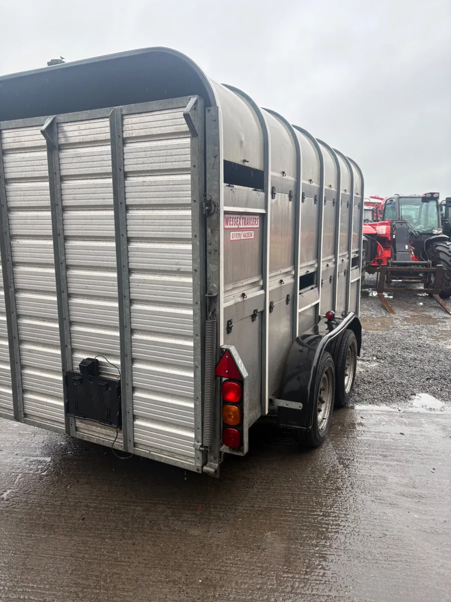 Weeks Cattle Trailer - Image 4