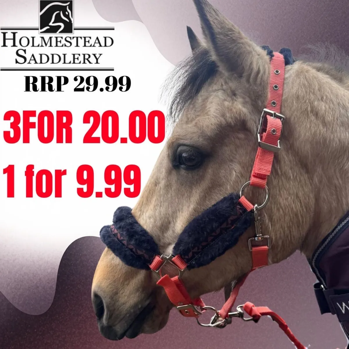 Luxury Headcollar & ROPE RRP €30 for €9.99 3 for20