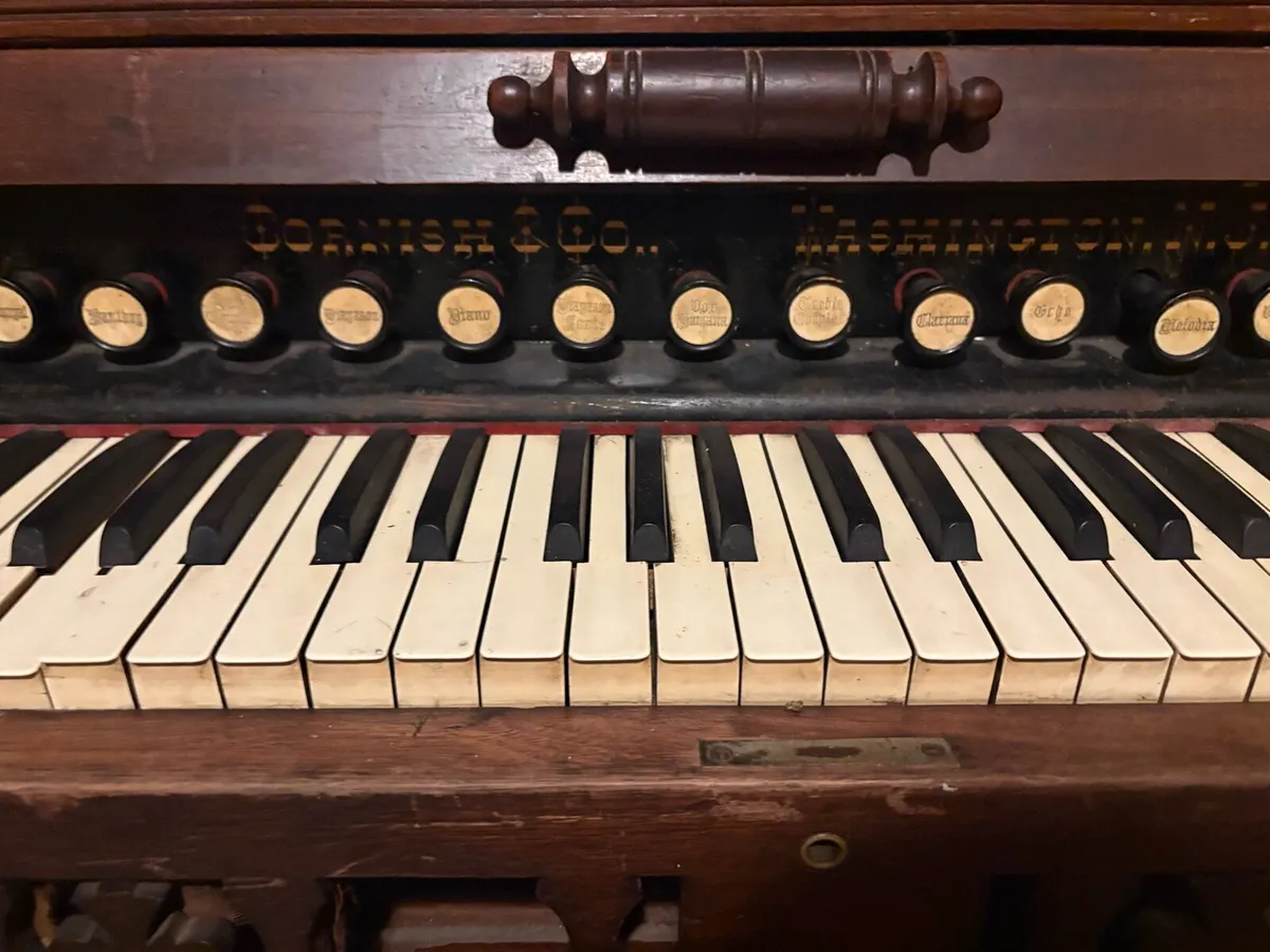 Antique Victorian Reed Organ - George and Co. USA - Image 1