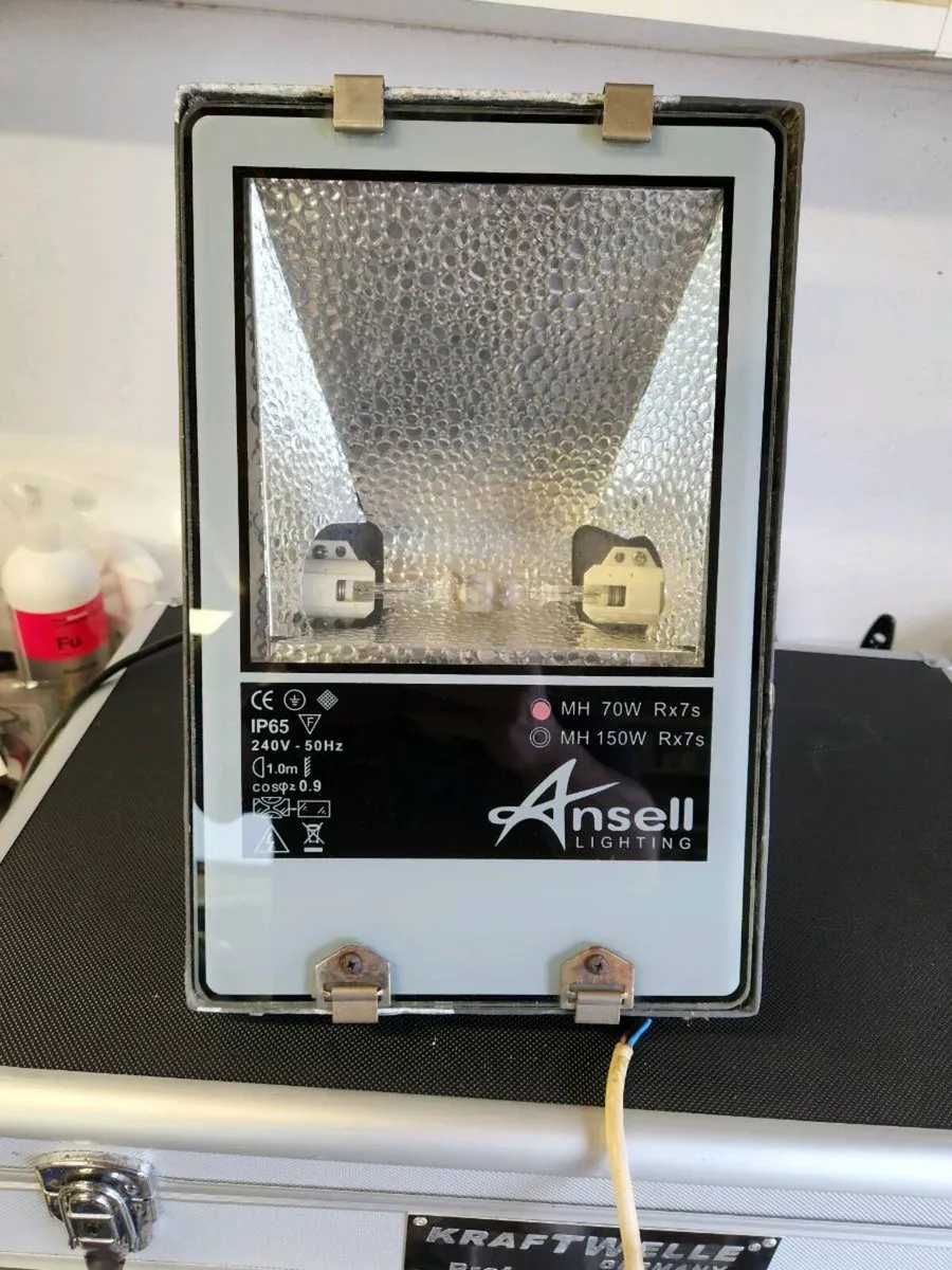 Ansell Outdoor Floodlight - Image 1