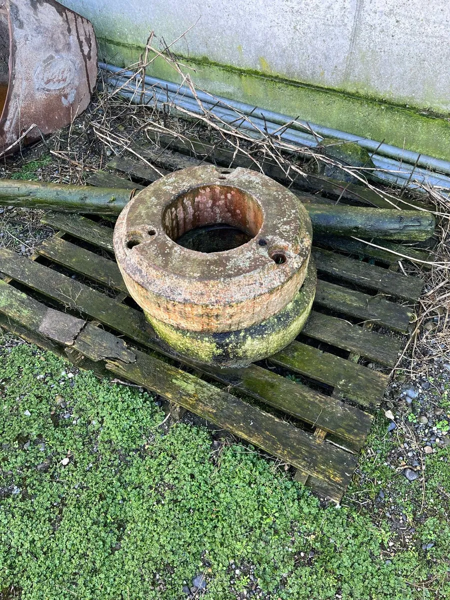 Ford TW Inner Wheel Weights - Image 1