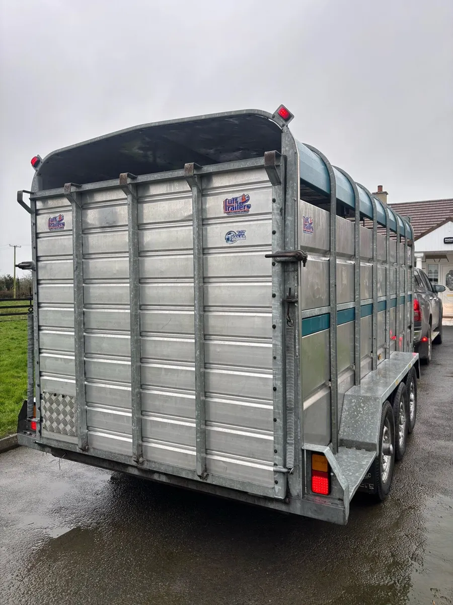 Tuff Mac cattle trailer - Image 3