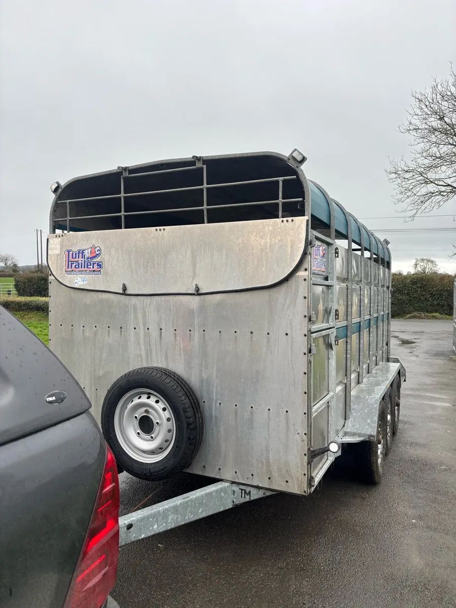 Tuff Mac cattle trailer - Image 1