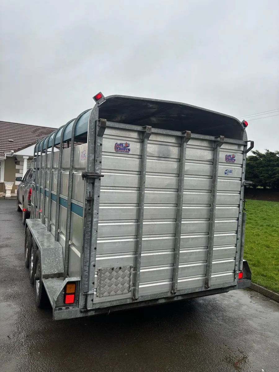 Tuff Mac cattle trailer - Image 2
