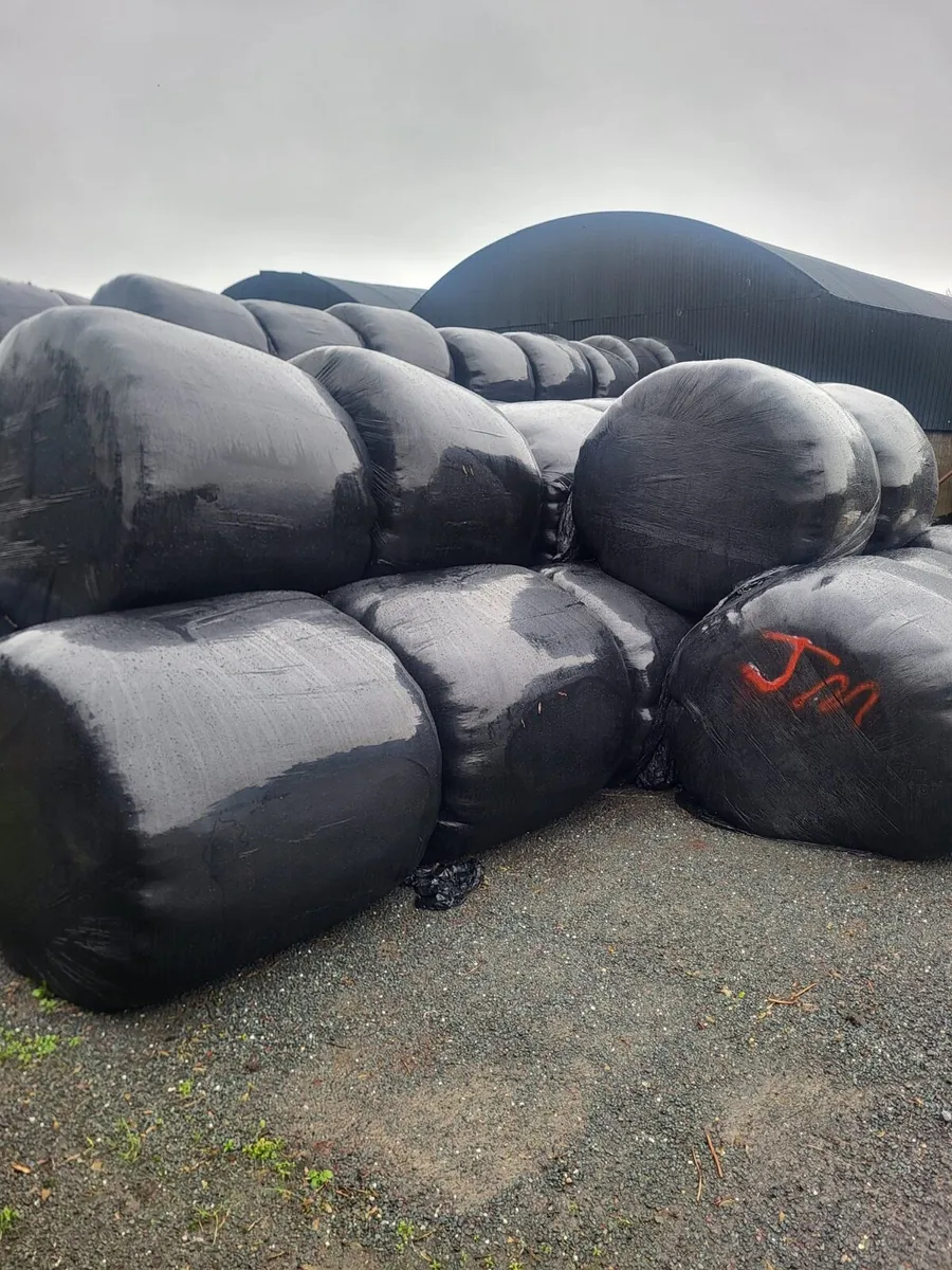 Silage and Haylage for sale - Image 2