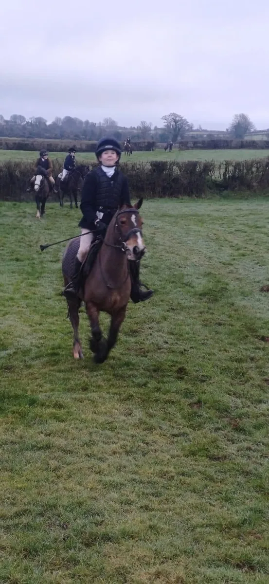 Hunting Pony - Image 4