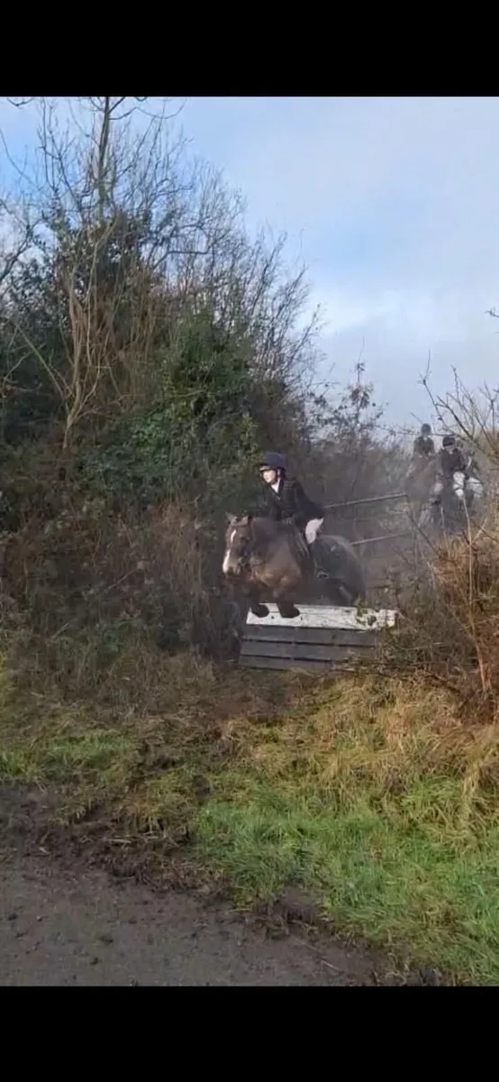 Hunting Pony - Image 3