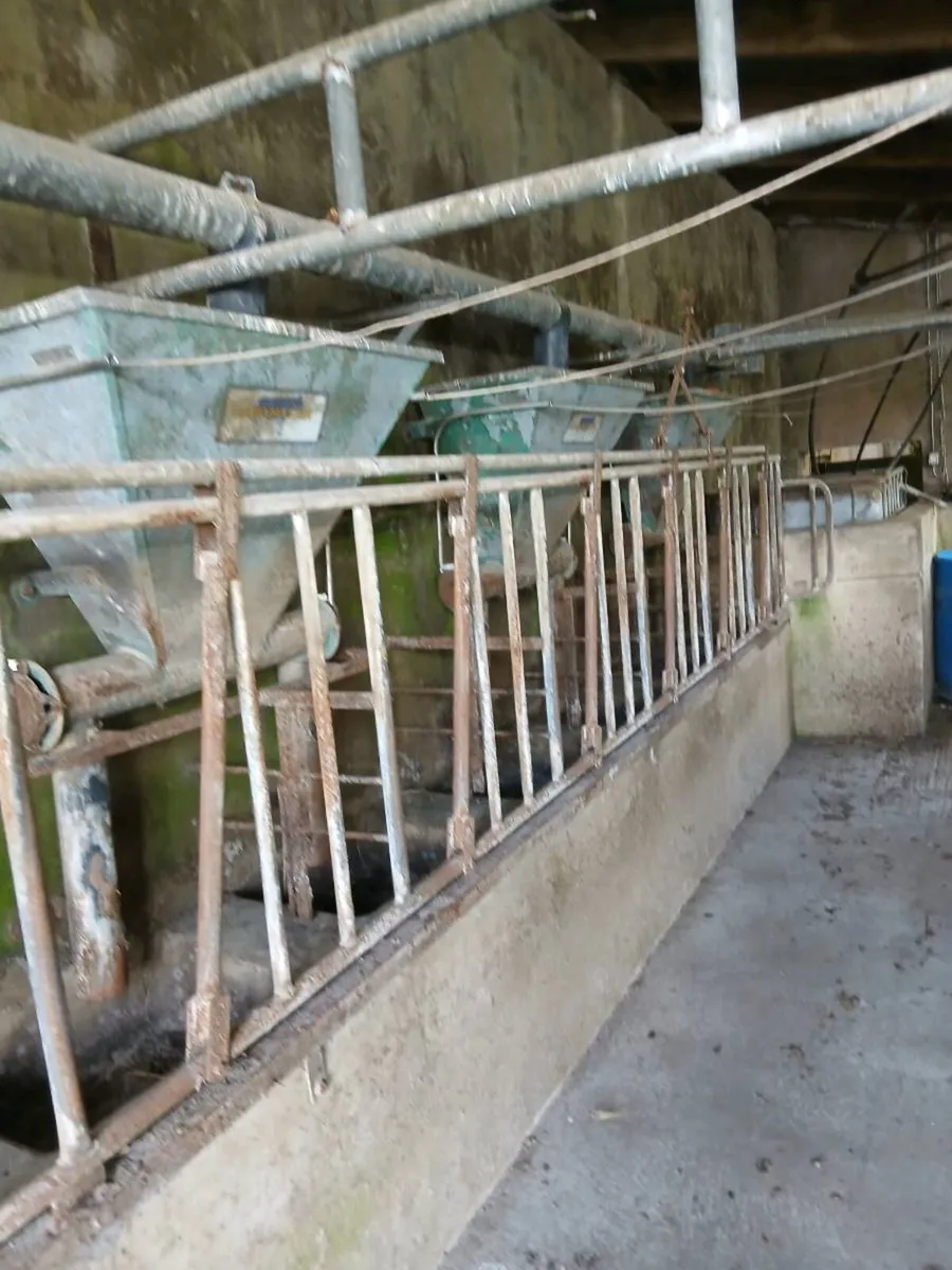 Milking parlour and tank - Image 2