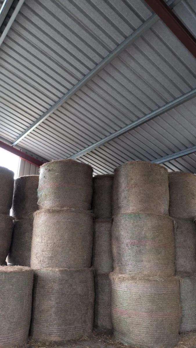 Best quality hay round bales - call for price