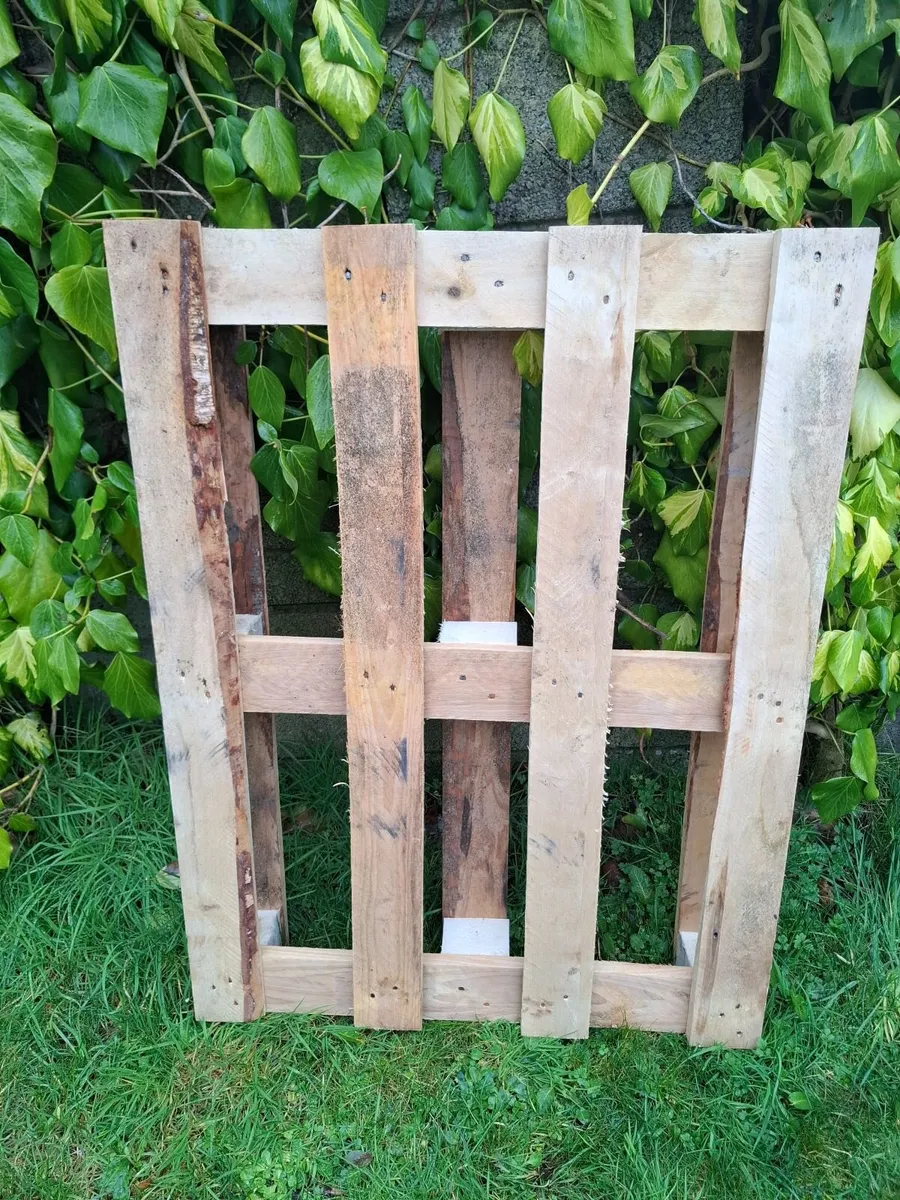 Free Wooden Pallet