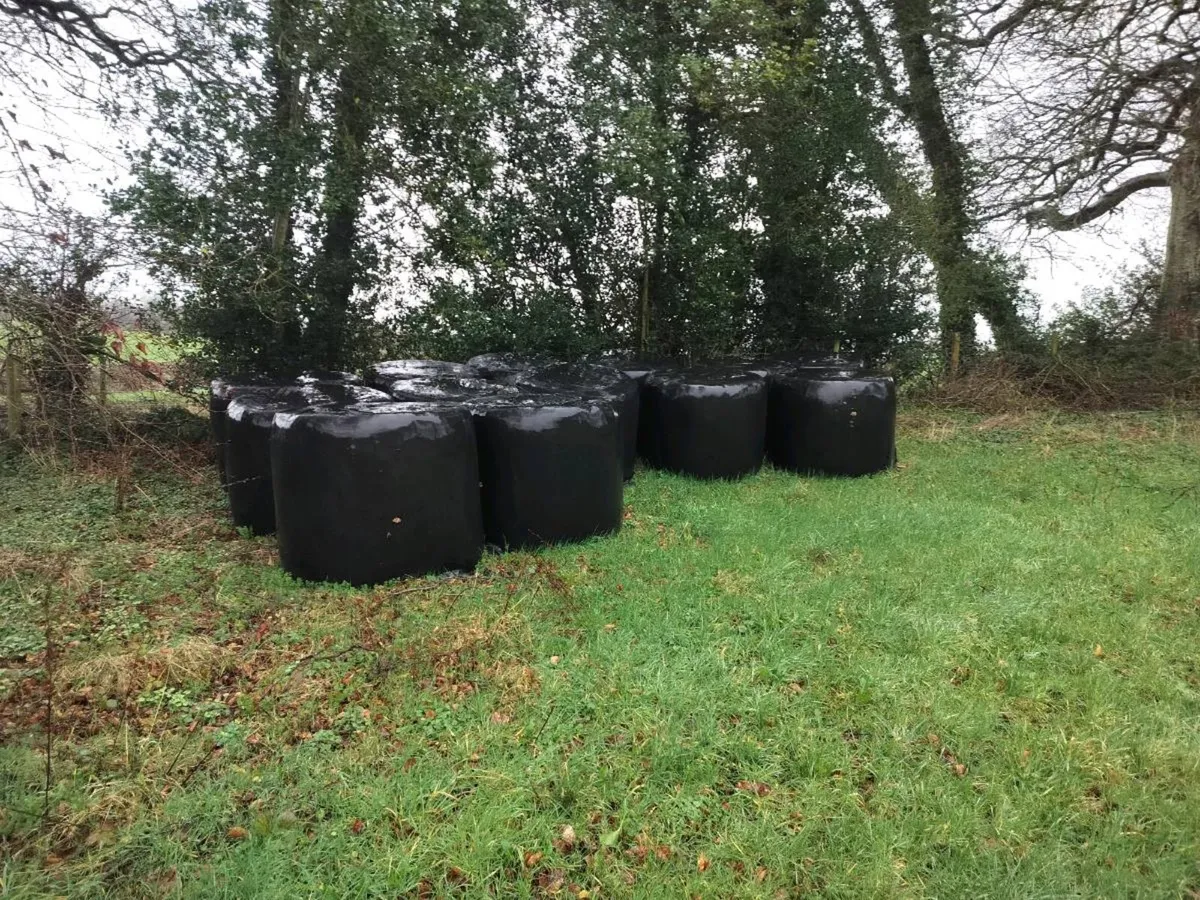 13 Round Silage bales - Image 1