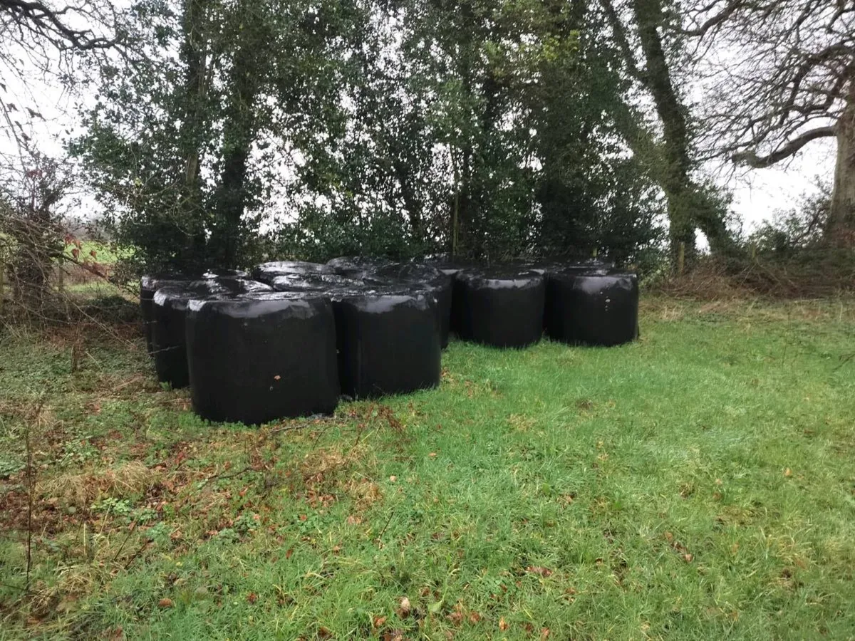 13 Round Silage bales - Image 2