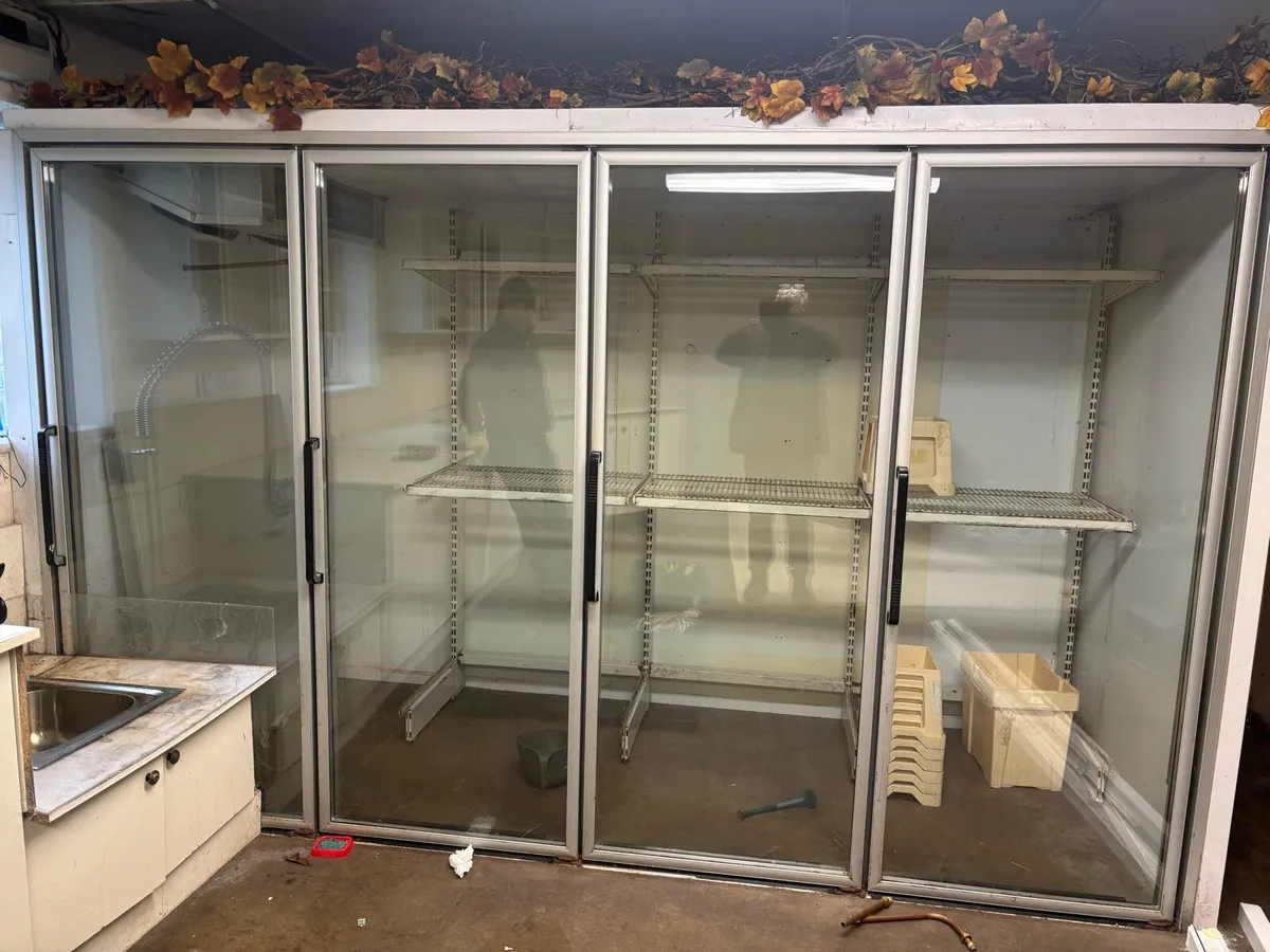 Fridge shop fittings - Image 1