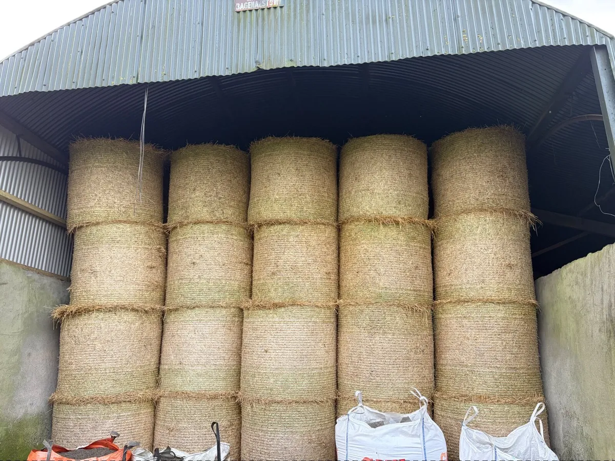 Spring Barley straw - Image 1