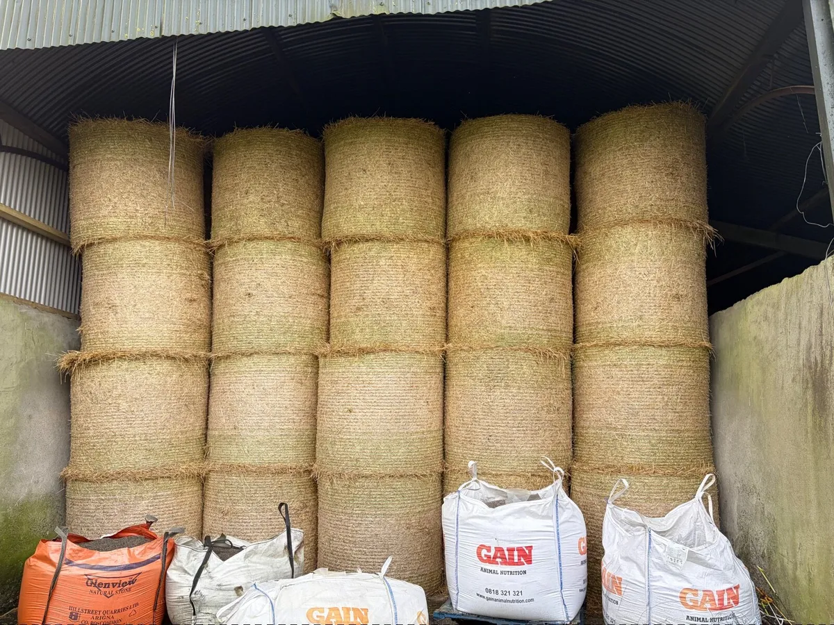 Spring Barley straw - Image 2