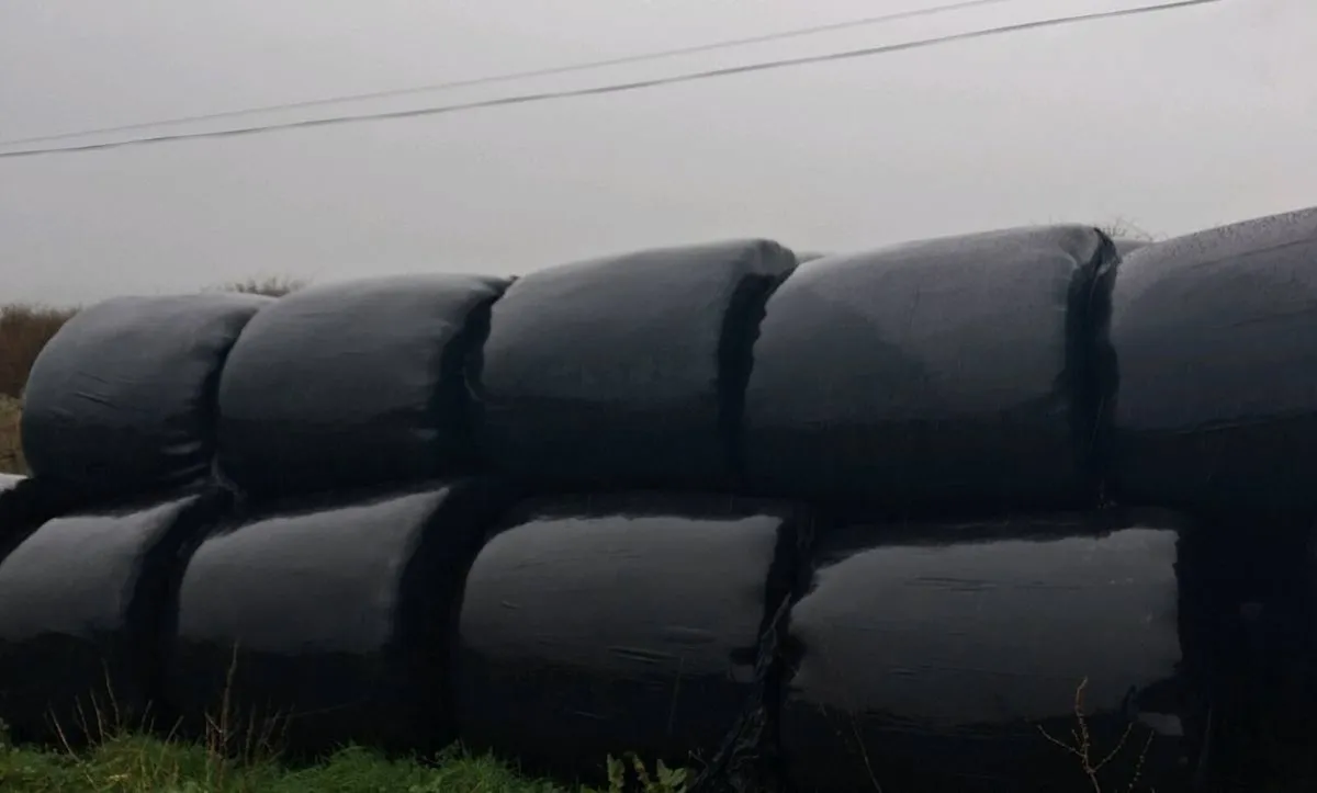 Silage bales - Image 1