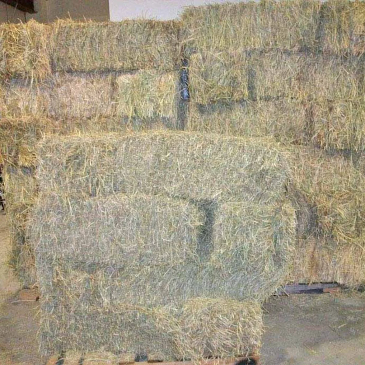 Hay - Image 2