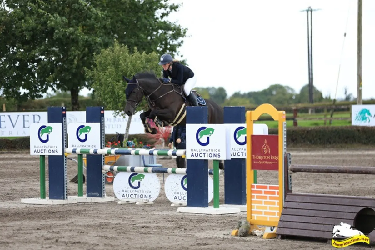 Dream Amateur/Riding Club/Pony club - Image 1