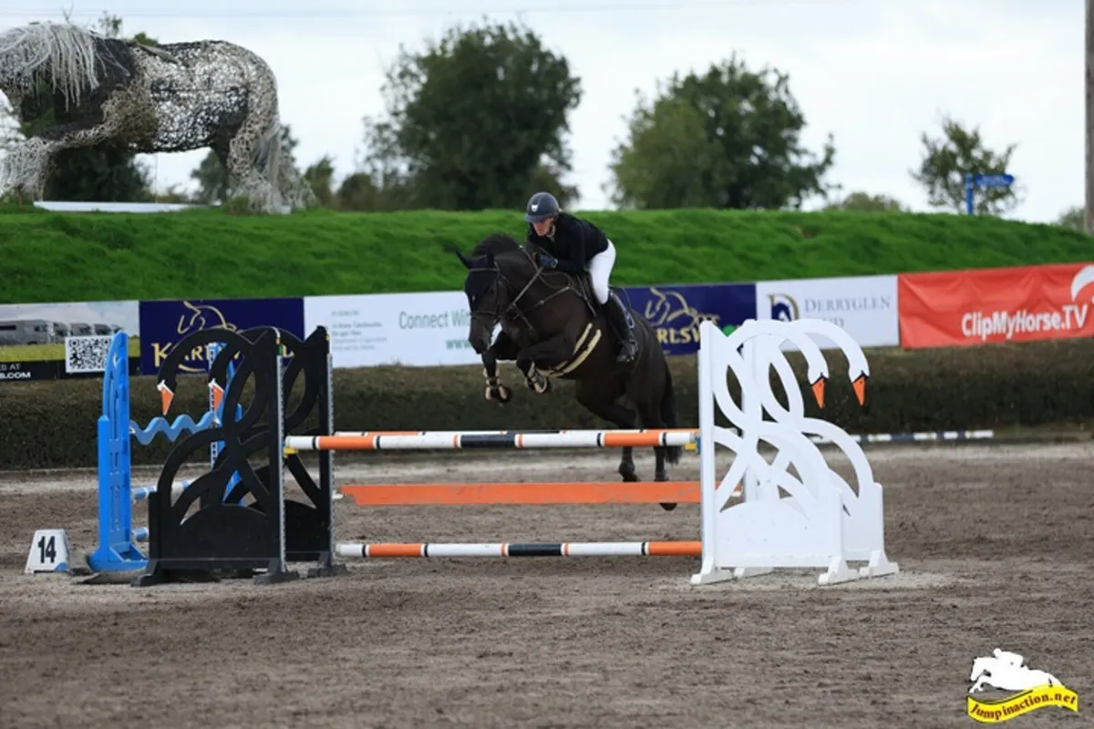 Dream Amateur/Riding Club/Pony club - Image 2