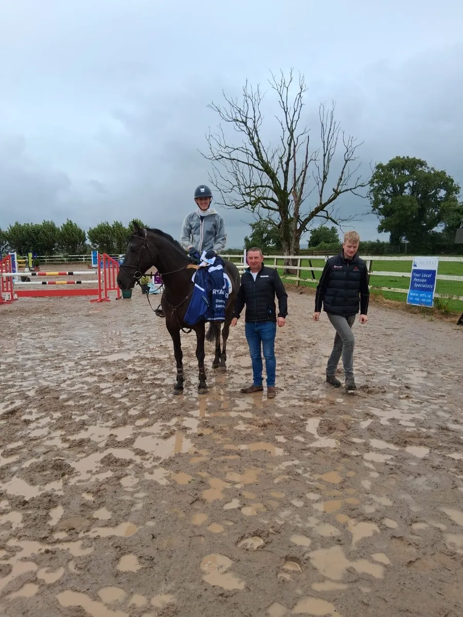 Dream Amateur/Riding Club/Pony club - Image 3