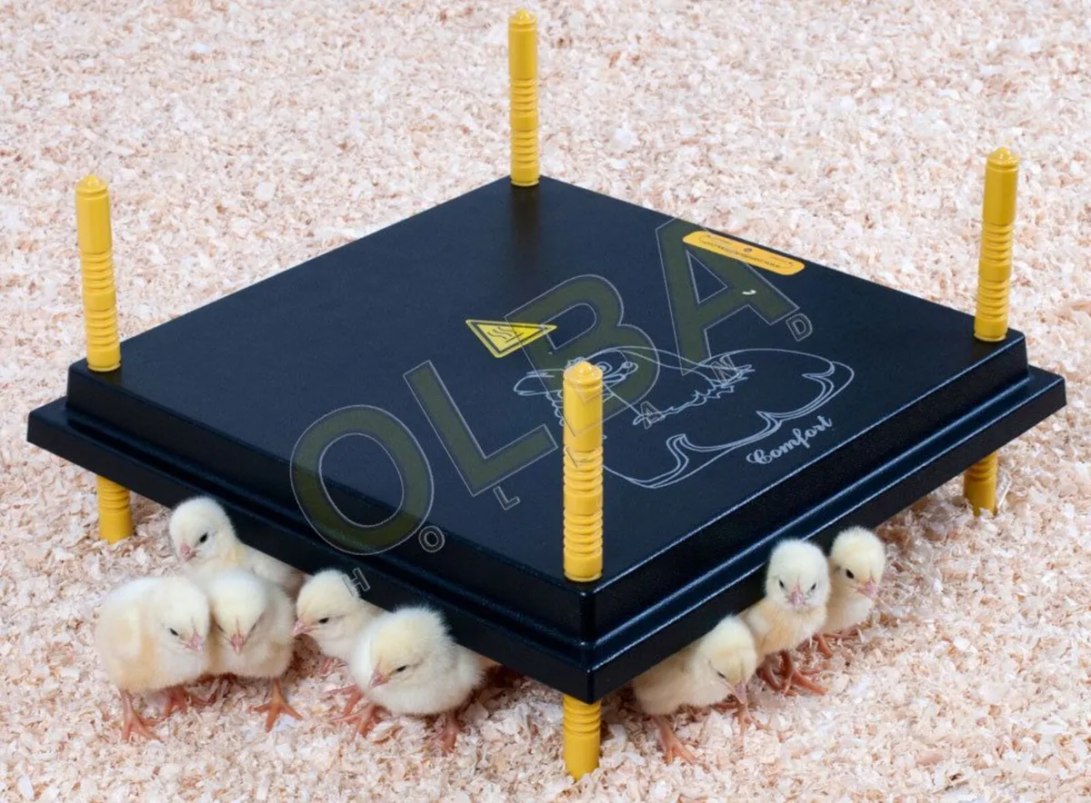 European made Chick Heat Plates - Low Wattage - Image 2