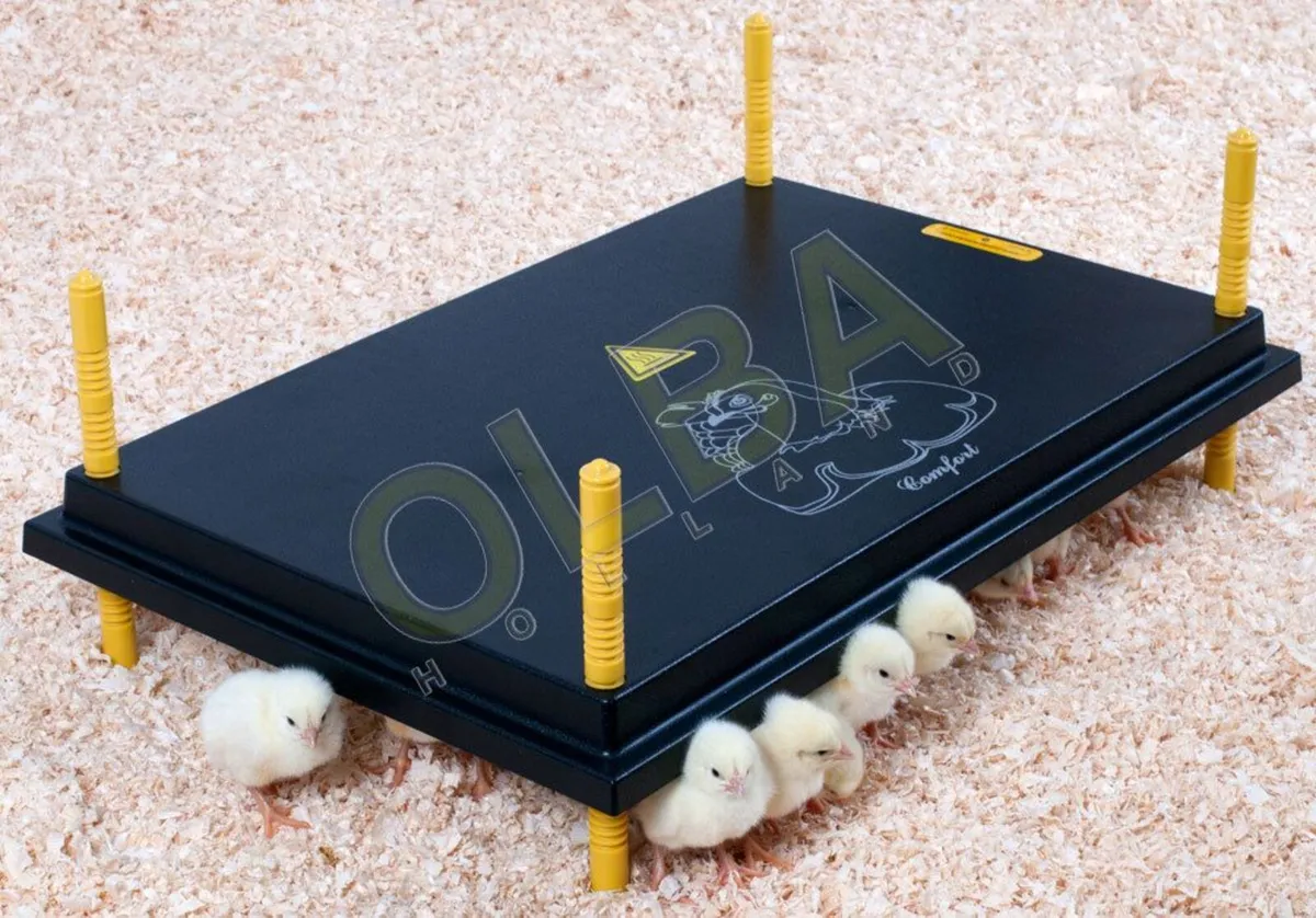 European made Chick Heat Plates - Low Wattage - Image 3