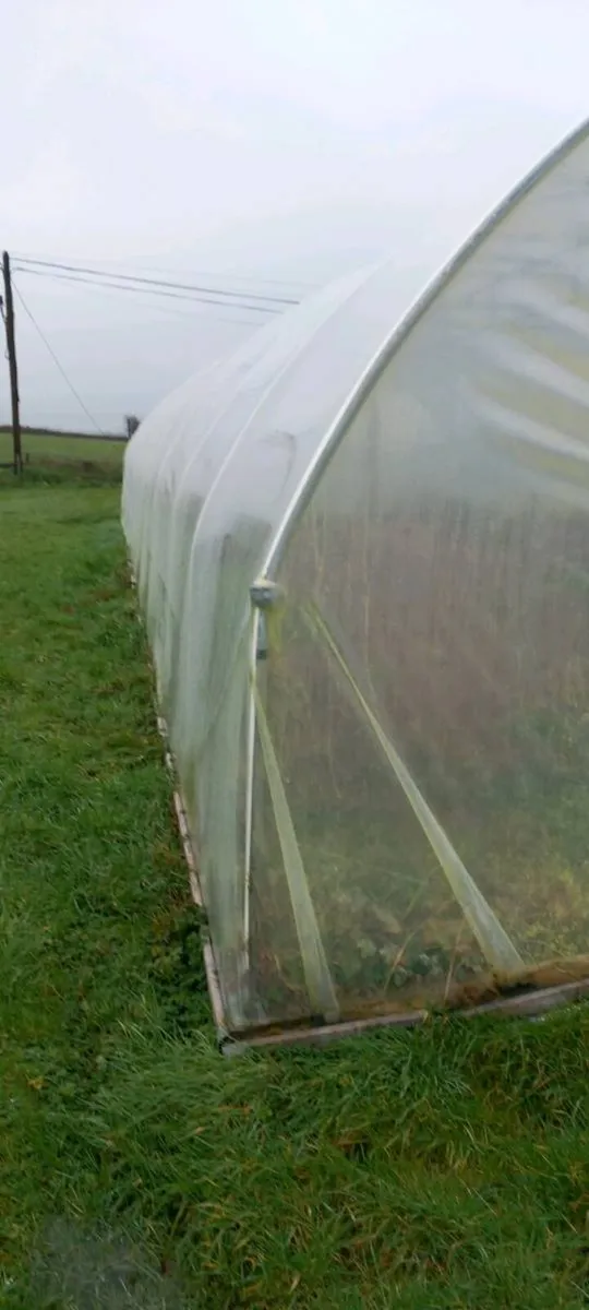 Poly Tunnel 60 x 19 - Image 3