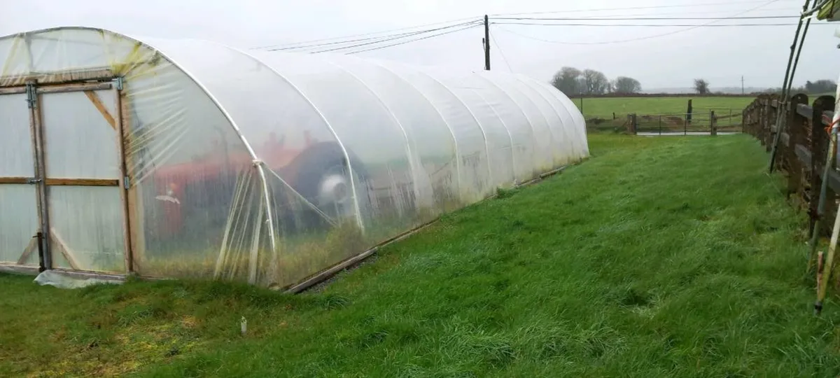 Poly Tunnel 60 x 19 - Image 4