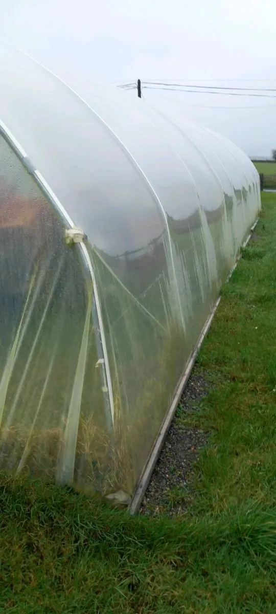 Poly Tunnel 60 x 19 - Image 2