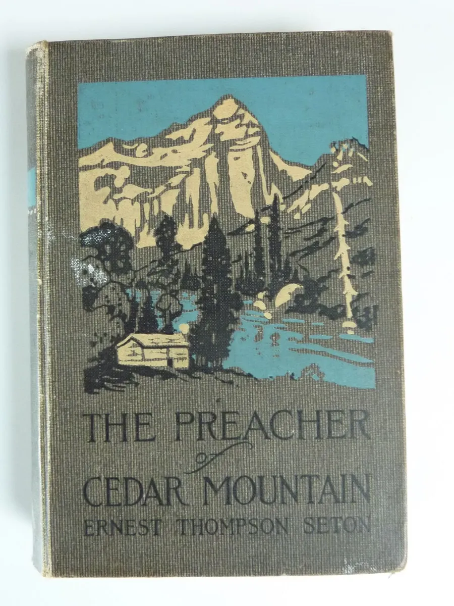 The preacher of cedar mountain (book) - Image 1