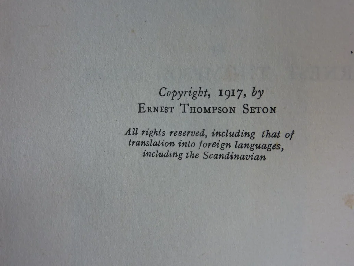 The preacher of cedar mountain (book) - Image 3