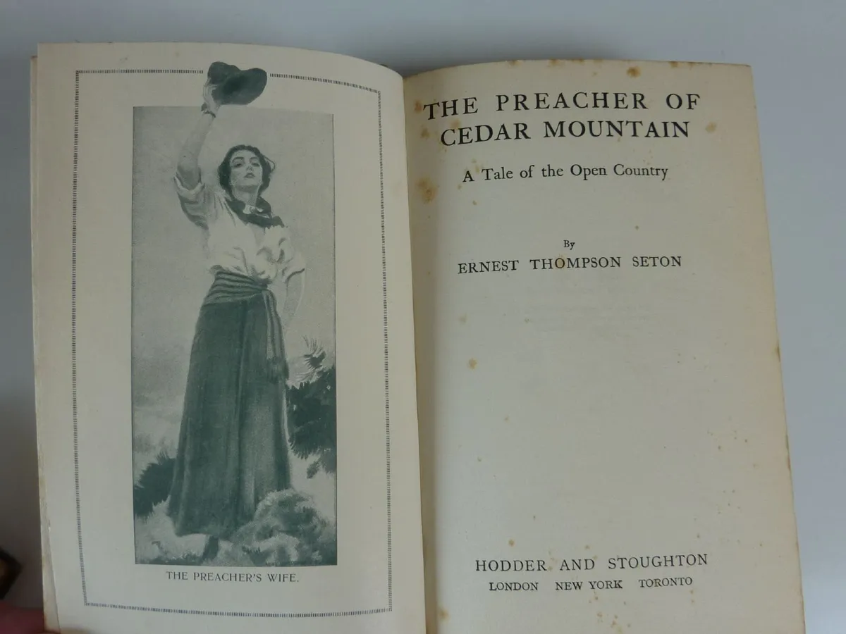 The preacher of cedar mountain (book) - Image 2