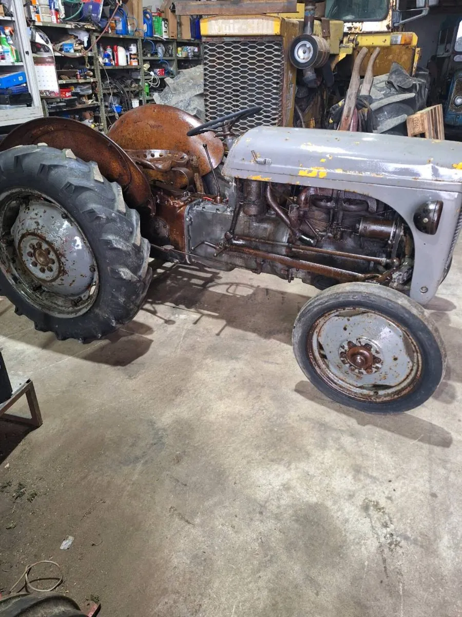 Ferguson  tvo - Image 2